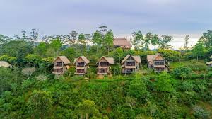 Ayurveda & Wellness in Sri Lanka
