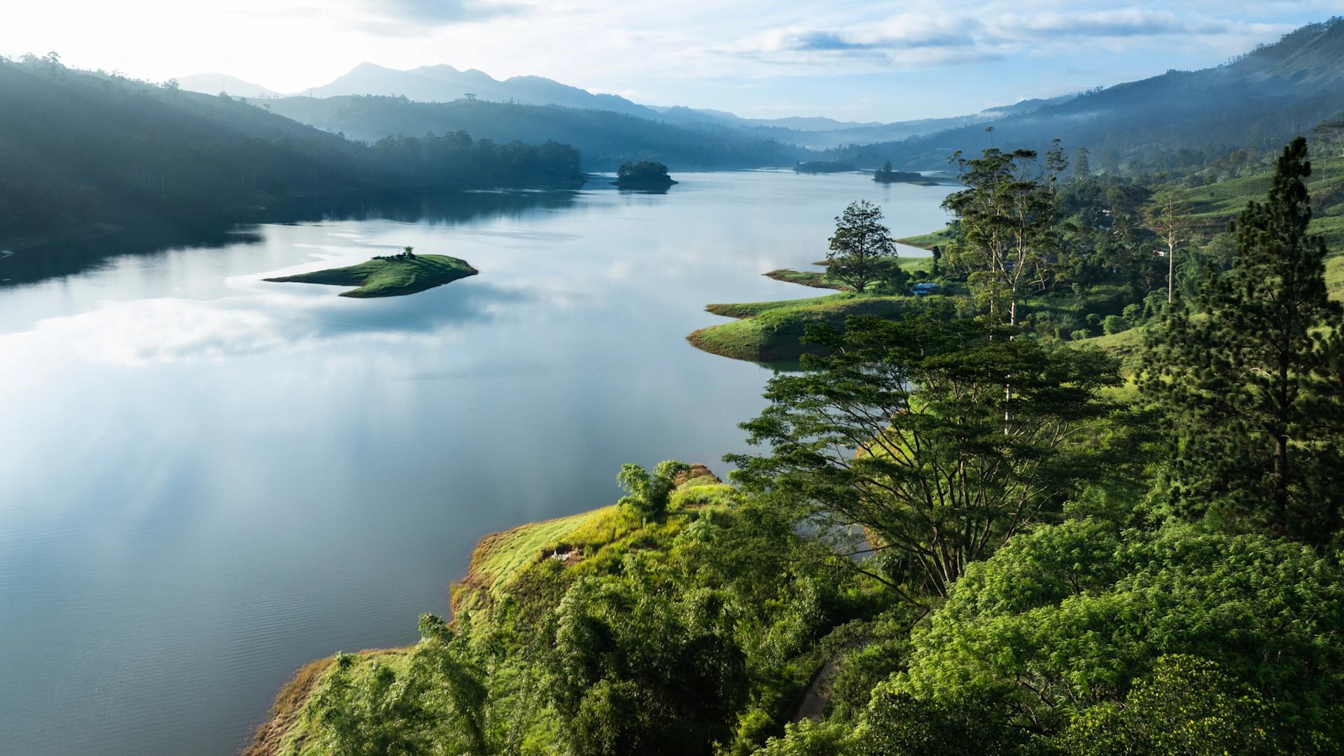 The Tea Highlands — A Wellness Journey Through the Mist — OnTime.lk Travel Sri Lanka